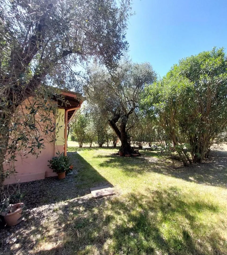 Apartment Ferienwohnung Casa L' Antico Ulivo Iglesias Italien