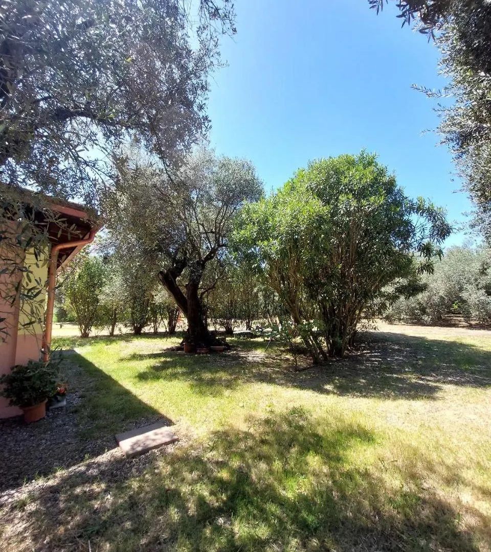 Ferienwohnung Casa L' Antico Ulivo Iglesias
