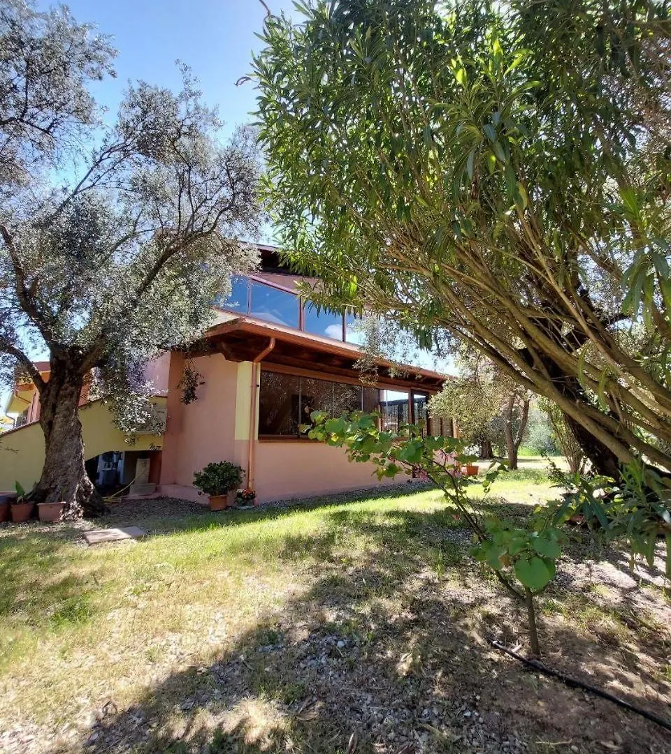Ferienwohnung Casa L' Antico Ulivo Iglesias 0*,
